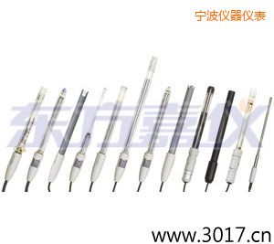 寧波pH電極